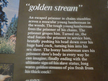 Load image into Gallery viewer, Vintage 8MM Gay Adult Pornographic Smoker Stag Film Horse Golden Stream    X12

