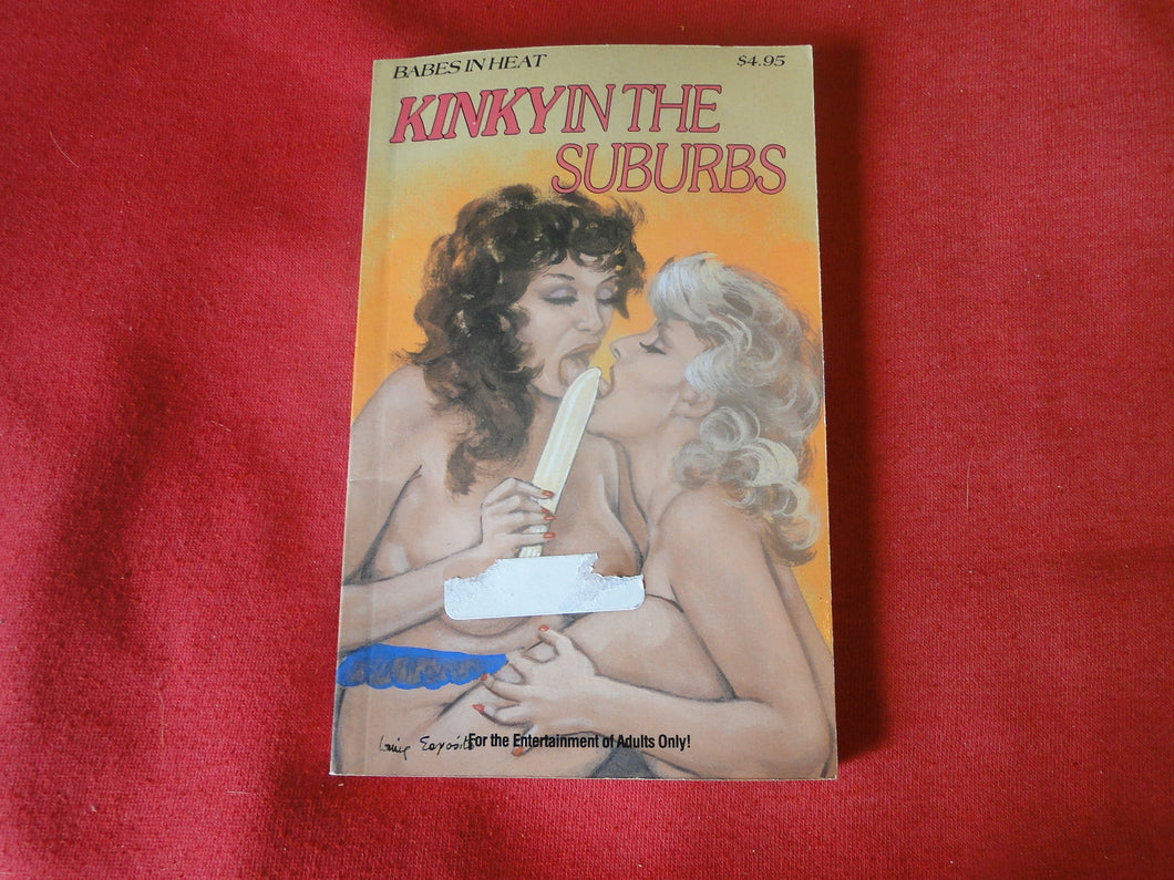 Vintage Erotic Adult Paperback Book/Novel Kinky In The Suburbs       PB4