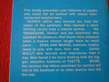 Load image into Gallery viewer, Vintage Adult Paperback Novel/Book Other Sex Acts Eros Goldstripe 1972      HC3
