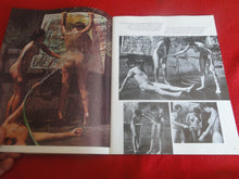 Load image into Gallery viewer, Vintage Nude Erotic Sexy Adult Magazine Flesh Tones 1967        P84
