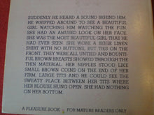 Load image into Gallery viewer, Vintage Erotic Adult Paperback Book/Novel Jennifer's Temptation          PB4
