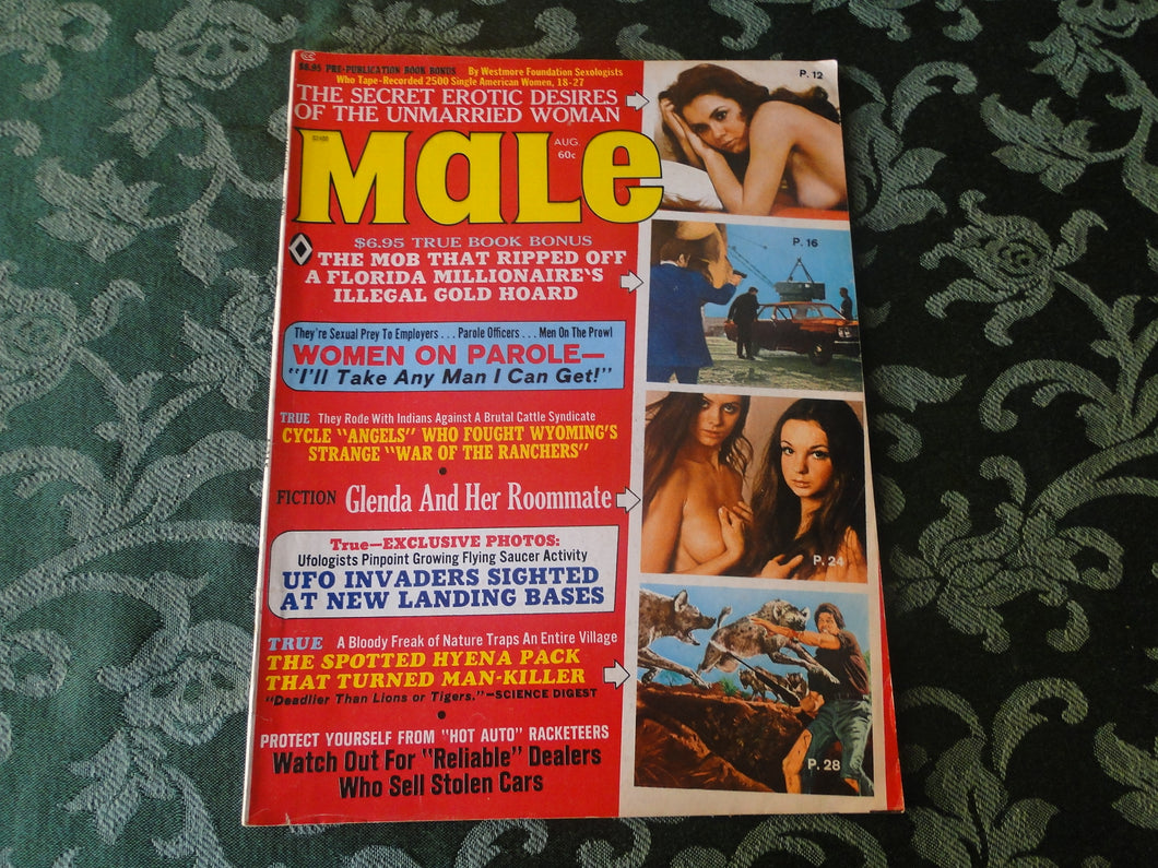 Vintage Nude Erotic Sexy Adult Magazine Male August 1973        JB13