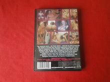 Load image into Gallery viewer, Vintage Adult Porn XXX DVD Erotic Movie Busty Euro Sluts            BT
