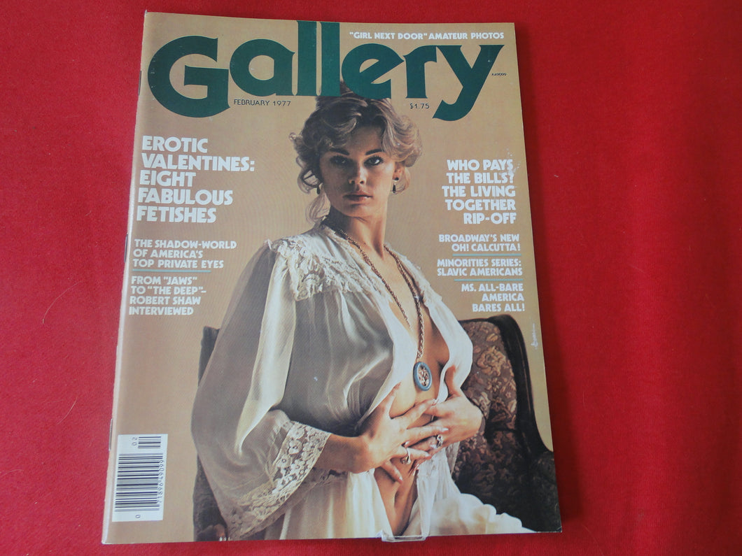 Vintage Nude Erotic Sexy Adult Magazine Gallery February 1977     JB35