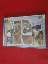 Load image into Gallery viewer, Vintage Adult All Male Gay Porn DVD XXX Bang Bros. Evan Rivers SEALED    J
