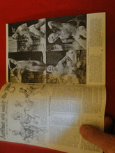 Load image into Gallery viewer, Vintage Erotic Sexy Gay Interest Magazine Physique Pictorial 1966 V.15 #2    HM1
