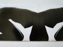 Load image into Gallery viewer, Vintage Professional Semi-Nude Woman Fine Art Photograph Jove Rama
