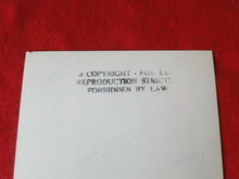 Load image into Gallery viewer, Vintage 18 Year Old + Gay Interest Colt/Fox/Chippendale Nude Hot Male Photo D41r
