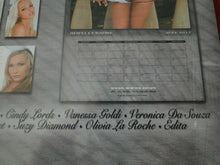 Load image into Gallery viewer, Vintage Large Semi-Nude Pinup Wall Calendar SEALED 12 x 12 2015 Nude Hot Girls B
