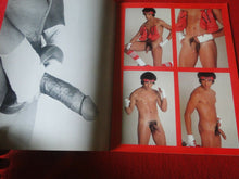 Load image into Gallery viewer, Vintage Adult Erotic Sexy Magazine Gay Interest Hot Black &amp; Latin             DH
