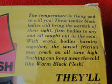 Load image into Gallery viewer, Vintage Adult Erotic XXX Porn VHS Tape Warm Black Flesh Cocoa Sheri Evans     A1
