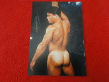 Load image into Gallery viewer, Vintage 18 Y.O. + Gay Interest Colt/Fox/Chippendale Nude Hot Male Photo     D254
