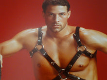 Load image into Gallery viewer, Vintage 18 Year Old + Gay Interest Colt/Fox/Chippendale Nude Hot Male Photo  D26
