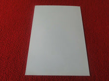 Load image into Gallery viewer, Vintage 18 Y.O. + Gay Interest Chippendale Fox Muscle Nude Hung Male Photo  D13g
