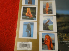 Load image into Gallery viewer, Vintage Large Semi-Nude Pinup Wall Calendar 12 x 12 1996 Pamela Anderson SEALEDB
