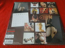 Load image into Gallery viewer, Vintage Semi-Nude Pinup Wall Calendar SEALED 12 x 12 2017 A Pros POs           F
