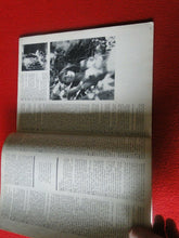 Load image into Gallery viewer, Vintage 18 Year Old + Erotic Sexy Adult Magazine Swingers World Jan. 1976    G29
