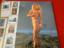 Load image into Gallery viewer, Vintage Large Semi-Nude Pinup Wall Calendar 12 x 12 1996 Pamela Anderson SEALEDB
