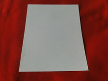 Load image into Gallery viewer, Vintage 18 Y.O. + Gay Interest Nude Hot Hung Muscular Male Photo 8 x 10     D+14
