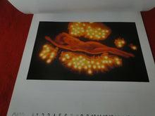 Load image into Gallery viewer, Vintage Semi-Nude Pinup Wall Calendar 1993 Dream Girls 19 x 16                H1
