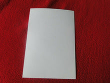 Load image into Gallery viewer, Vintage 18 Year Old + Gay Interest Nude Erotic Sexy Hot Hung Male Photo      D6h
