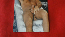 Load image into Gallery viewer, Vintage 18 Y.O + Gay Interest Colt/Fox/Chippendale Nude Hot Male Photo       D*v
