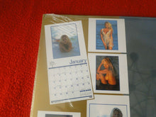 Load image into Gallery viewer, Vintage Large Semi-Nude Pinup Wall Calendar 12 x 12 1996 Pamela Anderson SEALEDB
