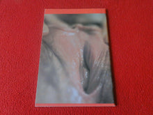 Load image into Gallery viewer, Vintage Nude Erotic Sexy Adult Magazine Netherlands Femme New Old Stock       LL
