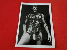 Load image into Gallery viewer, Vintage 18 Year Old + Gay Interest Colt/Fox/Chippendale Nude Hot Male Photo   D7
