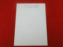 Load image into Gallery viewer, Vintage 18 Year Old+ Gay Interest Colt/Fox/Chippendale Nude Male Photo      D236
