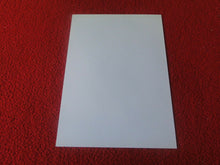 Load image into Gallery viewer, Vintage 18 Y.O. + Gay Interest Chippendale Fox Muscle Nude Hung Male Photo  D13k
