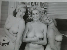 Load image into Gallery viewer, Vintage Nude Sexy Woman  Adult Pinup Silver Gelatin 5 x 4 Photo     A71y
