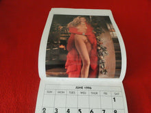 Load image into Gallery viewer, Vintage Semi-Nude Pinup Wall Calendar 1996 Playboy Playmate 11 x 8 Inches     G1
