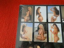 Load image into Gallery viewer, Vintage Large Semi-Nude Pinup Wall Calendar SEALED 12 x 12 2017 Dat Bass       C
