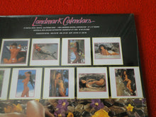 Load image into Gallery viewer, Vintage Large Semi-Nude Pinup Wall Calendar SEALED 12 x 12 1996 Island Girls   C

