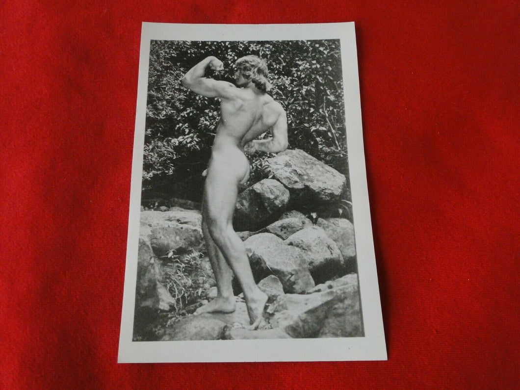 Vintage 18 Y.O. + Gay Interest Colt/Fox/Chippendale Nude Hot Male Photo      D=8