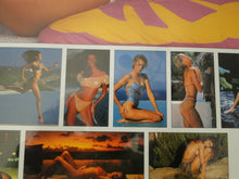 Load image into Gallery viewer, Vintage Large Semi-Nude Pinup Wall Calendar 1995 Sports Illustrated Swimsuit   D
