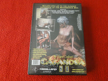 Load image into Gallery viewer, Vintage 18 Y.O. + Adult Erotic Sexy Porn XXX DVD John Holmes Jessie St. James DD
