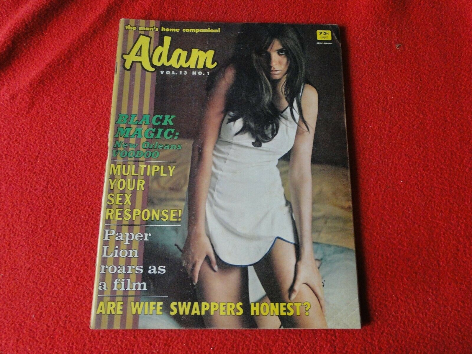Vintage 18 YO + Nude Erotic Adult Mens Magazine Adam pic