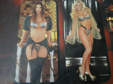 Load image into Gallery viewer, Vintage Semi-Nude Pinup Wall Calendar 2001 Playboy Lingerie 18 x 12 SEALED NOS P
