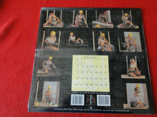 Load image into Gallery viewer, Vintage Large Semi-Nude Pinup Wall Calendar SEALED 12 x 12 2000 Construction...C

