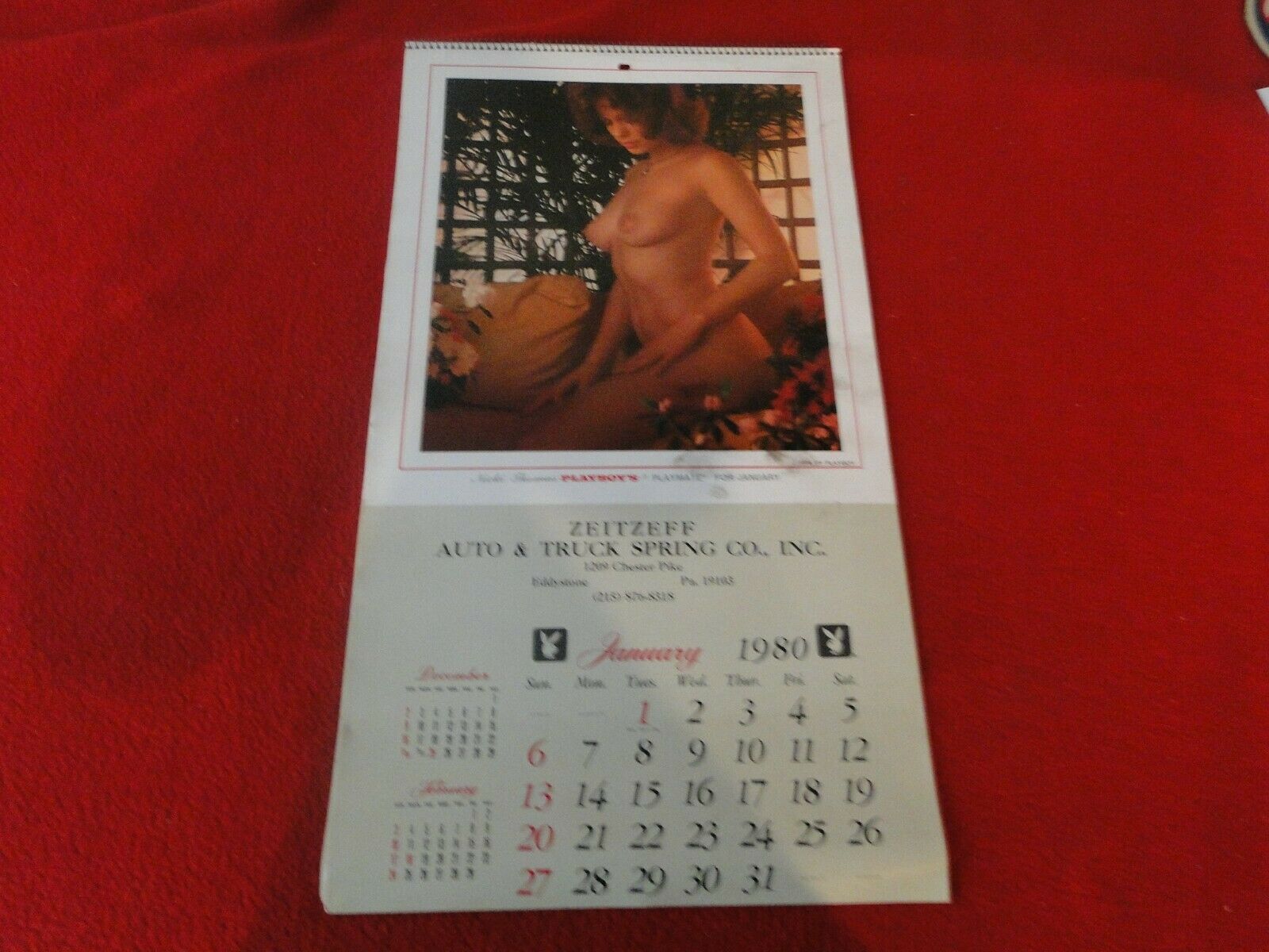 1980s Pinup - Vintage Semi-Nude Pinup Wall Calendar 1980 Playboy Zeitzeff Auto & Tru â€“  Ephemera Galore