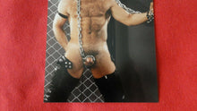 Load image into Gallery viewer, Vintage 18 Y.O + Gay Interest Colt/Fox/Chippendale Nude Hot Male Photo       D*n
