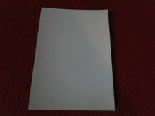 Load image into Gallery viewer, Vintage 18 Year Old + Gay Interest Hot Erotic Sexy Semi Nude Male Photo      B54
