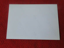 Load image into Gallery viewer, Vintage 18 Year Old+ Gay Interest Colt/Fox/Chippendale Nude Male Photo      D238
