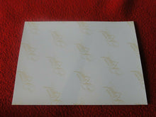 Load image into Gallery viewer, Vintage 18 Year Old + Gay Interest Chippendale/Colt/Fox Semi Nude Male Photo D28
