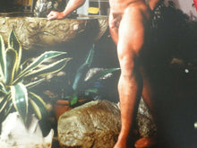 Load image into Gallery viewer, Vintage 18 Year Old + Gay Interest Nude Colt/Fox/Chippendales&#39;s Male Photo   D12
