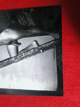 Load image into Gallery viewer, Vintage 18 Y.O. + Gay Interest Nude Hot Hung Muscular Male Photo 8 x 10     D21l
