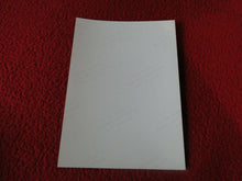 Load image into Gallery viewer, Vintage 18 Year Old + Gay Interest Hot Erotic Sexy Semi Nude Male Photo      B55
