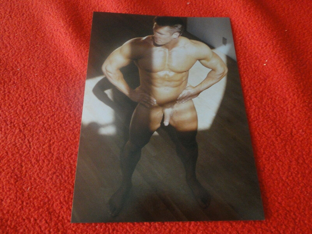 Vintage 18 Year Old + Gay Interest Colt/Fox/Chippendale Nude Hot Male Photo  D24
